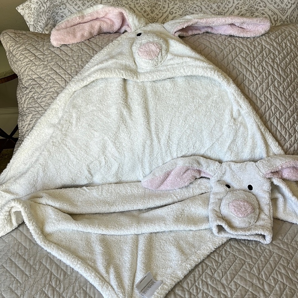 Restoration Hardware Baby Towel Set